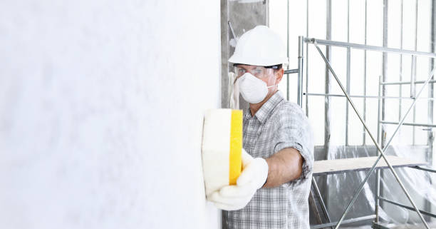 Professional Mold Inspection in Calera, AL