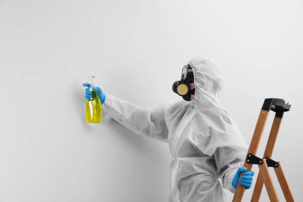 Why You Should Choose Our Mold Remediation Services in Calera, AL